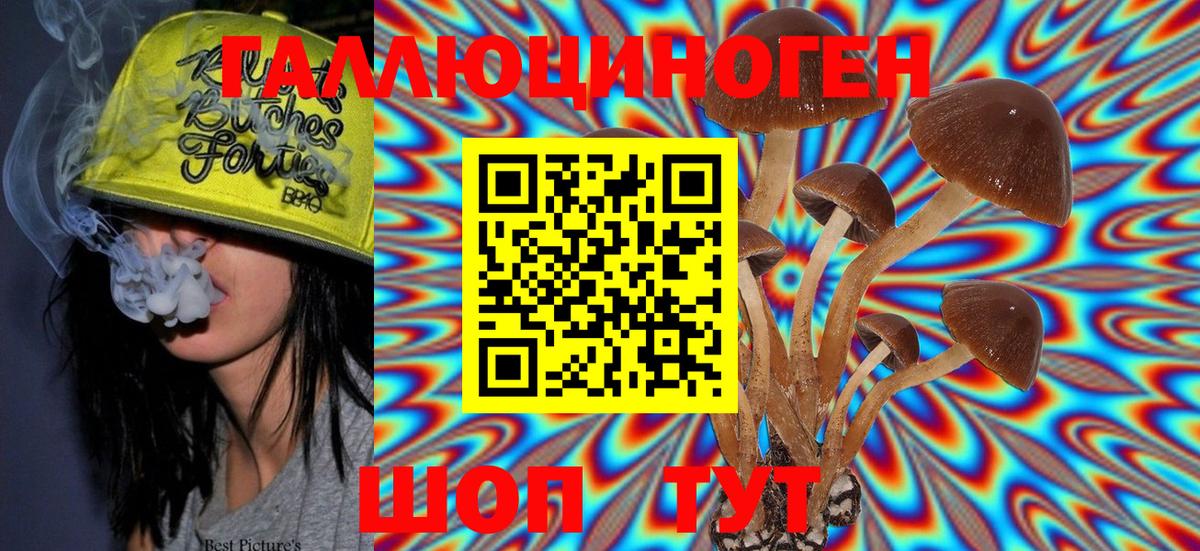Псилоцибиновые грибы Magic Shrooms  даркнет сайт  Вход с VPN  Сертолово  Псилоцибиновые грибы прущие грибы 